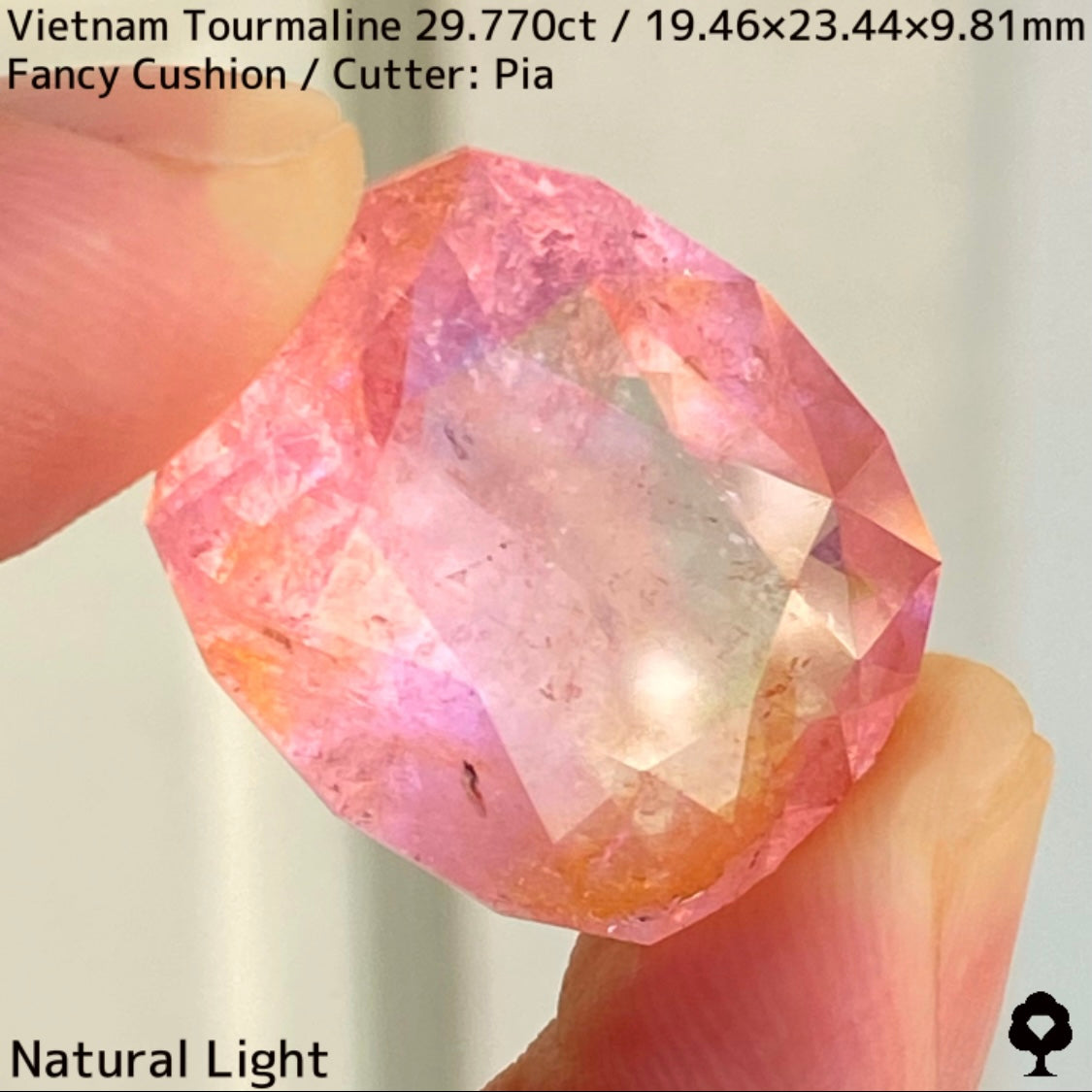 Tourmaline 29.770ct / Vietnam