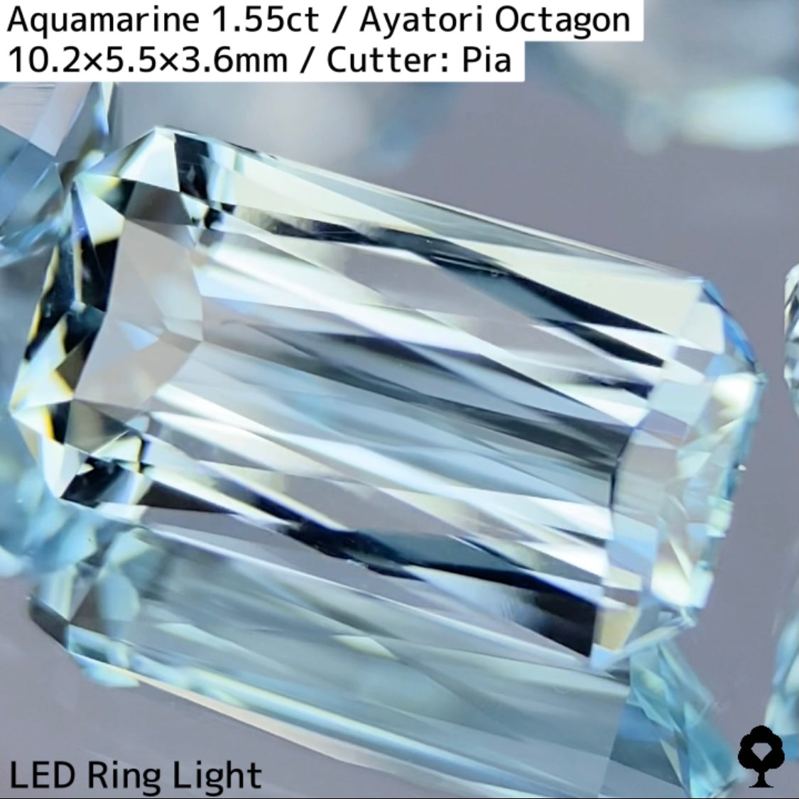 Aquamarine 1.55ct / Madagascar