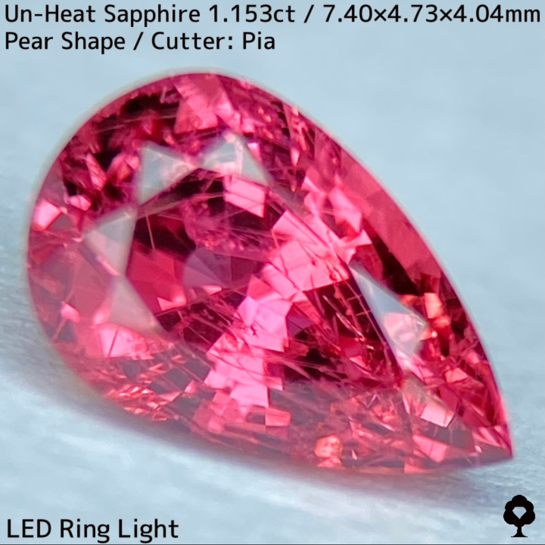 1.153ct unheated sapphire from Tanzania. Exquisite color and interesting needle inclusions like ruby, padparads, and impales.