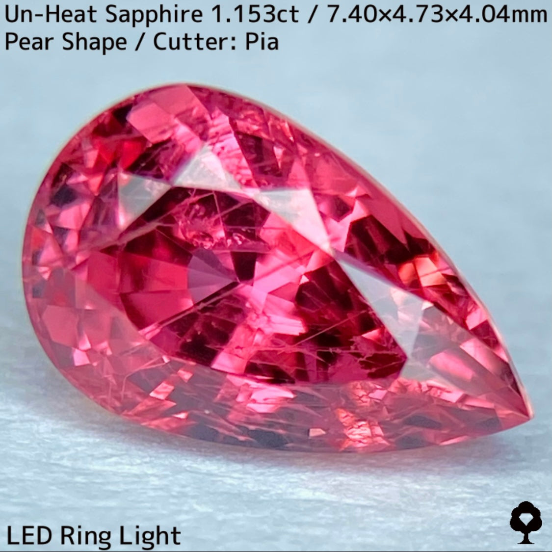 1.153ct unheated sapphire from Tanzania. Exquisite color and interesting needle inclusions like ruby, padparads, and impales.