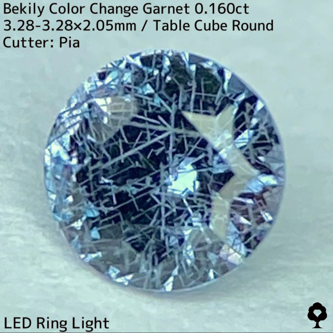 Color Change Garnet 0.160ct / Bekily(Madagascar)