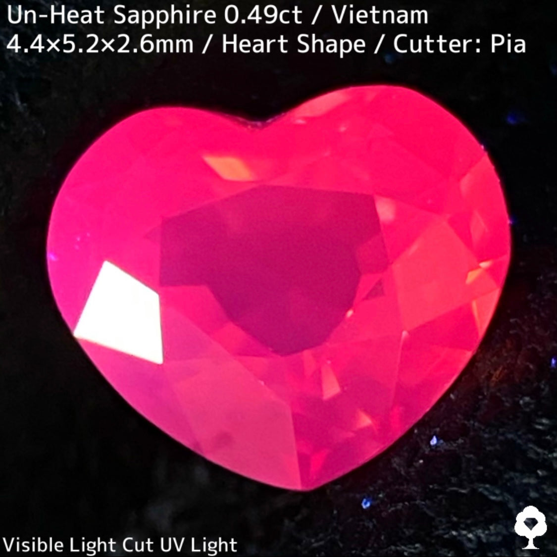 Un-Heat Sapphire 0.497ct / Vietnam
