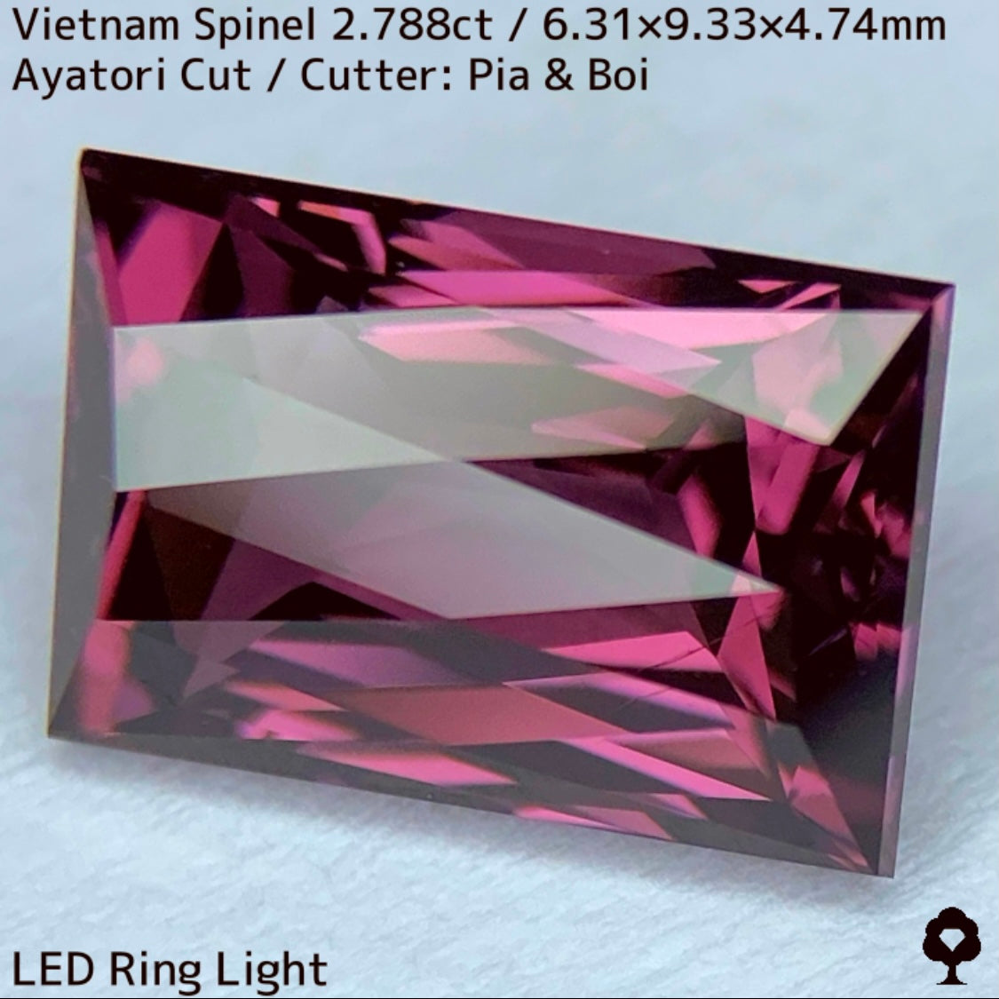 Spinel 2.788ct / Vietnam