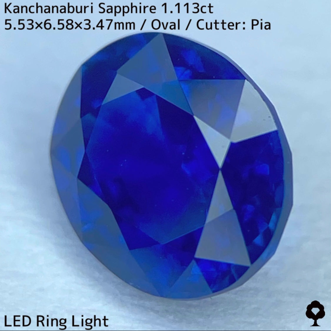 Kanchanaburi sapphire 1.113ct ★ A rare 1ct+ sapphire with a silky, slightly greenish blue color typical of Kanchanaburi