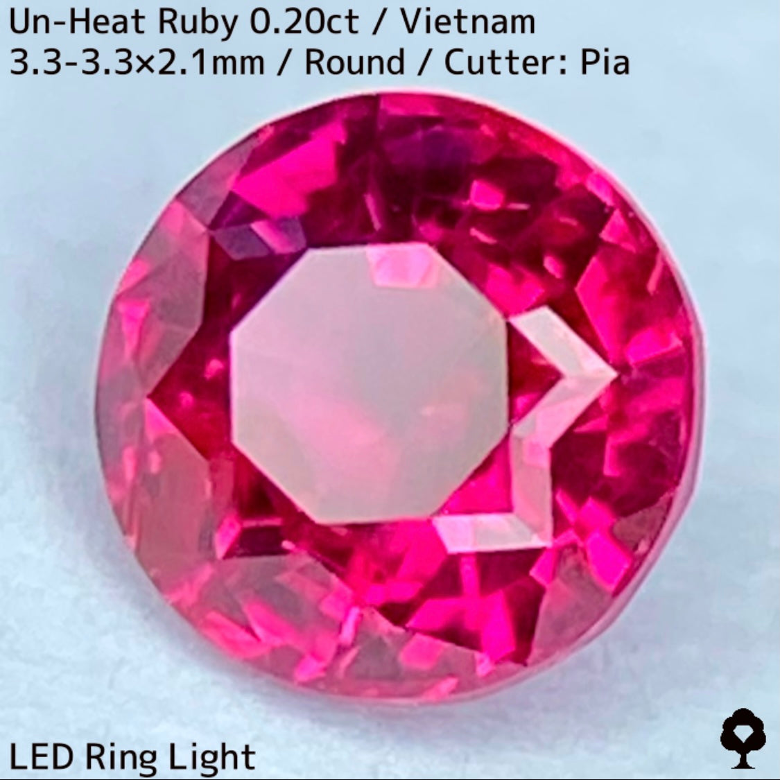 Un-Heat Ruby 0.20ct / Vietnam