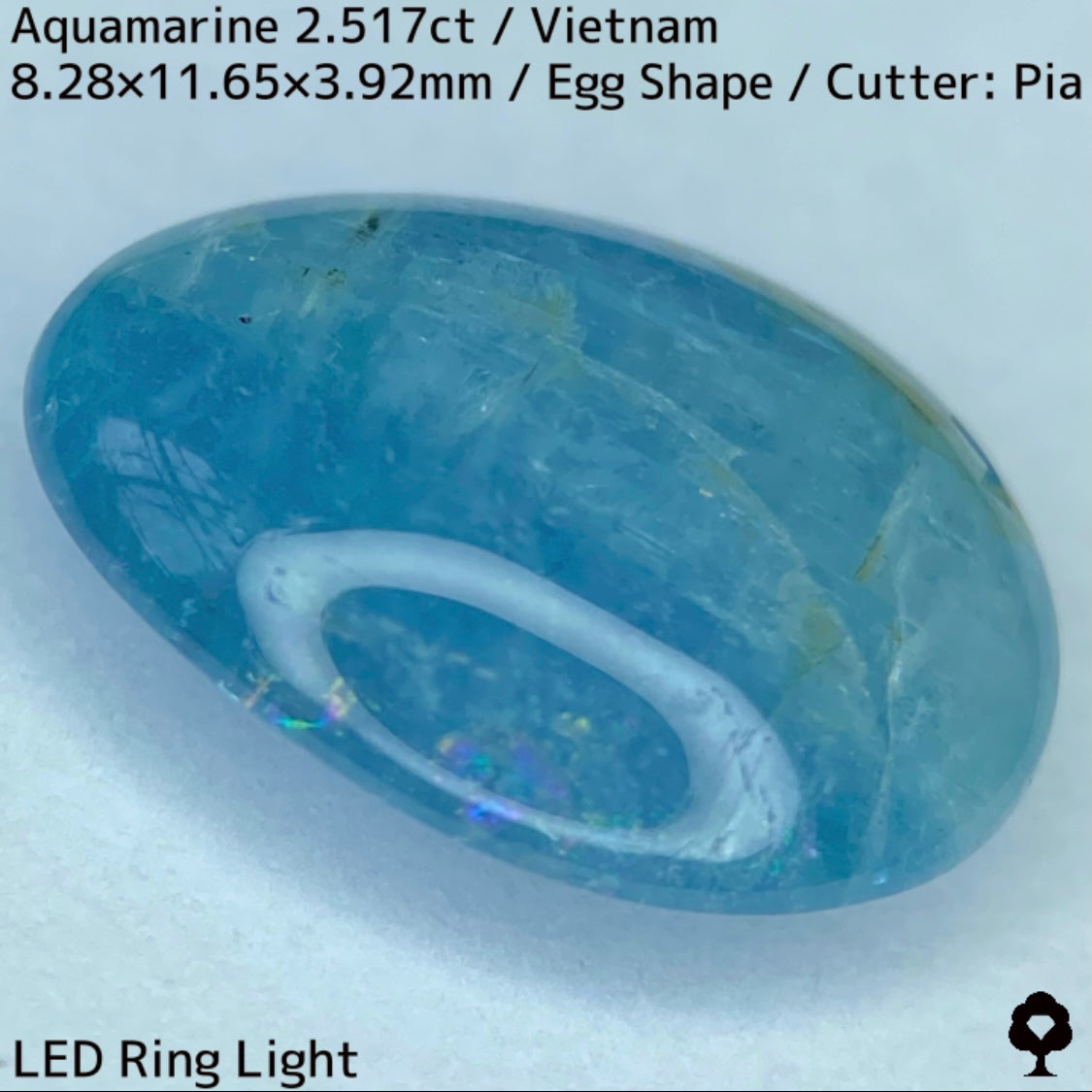 Aquamarine 2.517ct / Vietnam