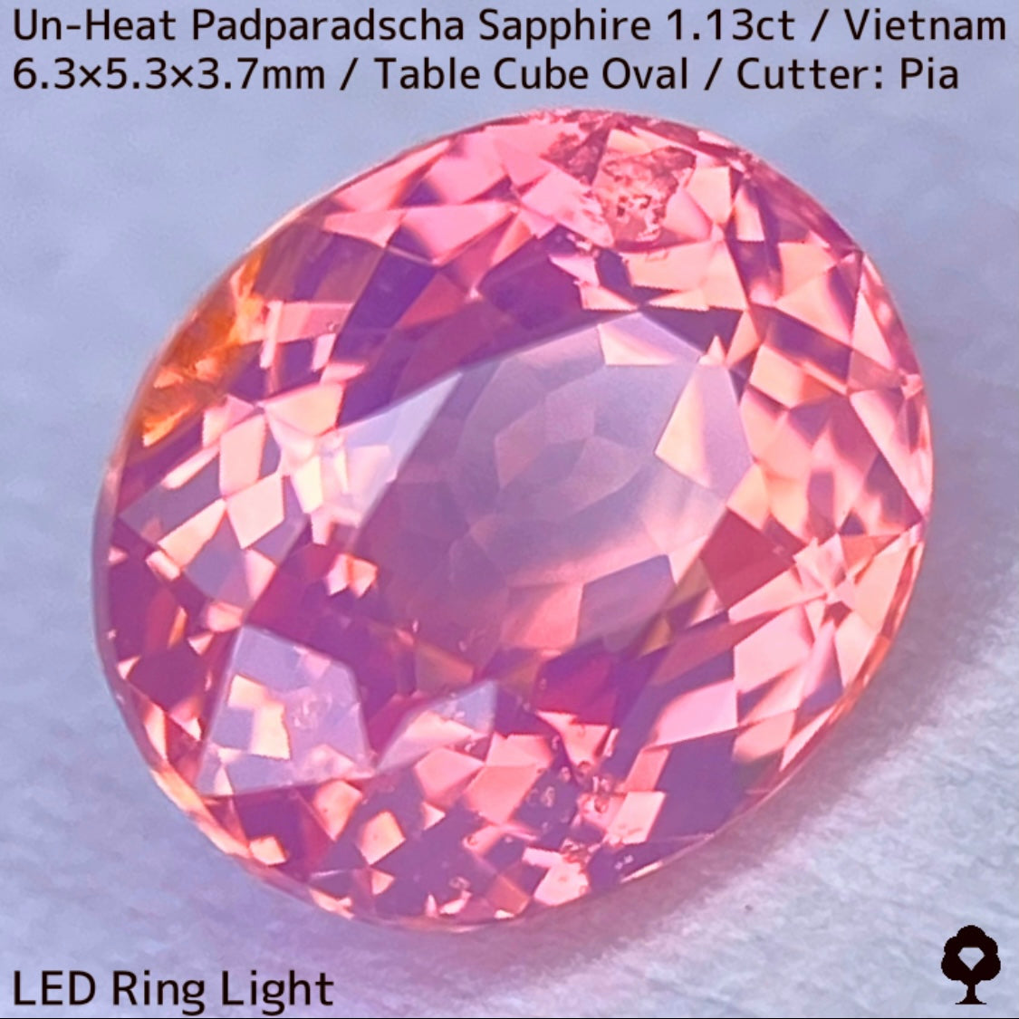 Un-Heat Padparadscha Sapphire 1.136ct / Vietnam