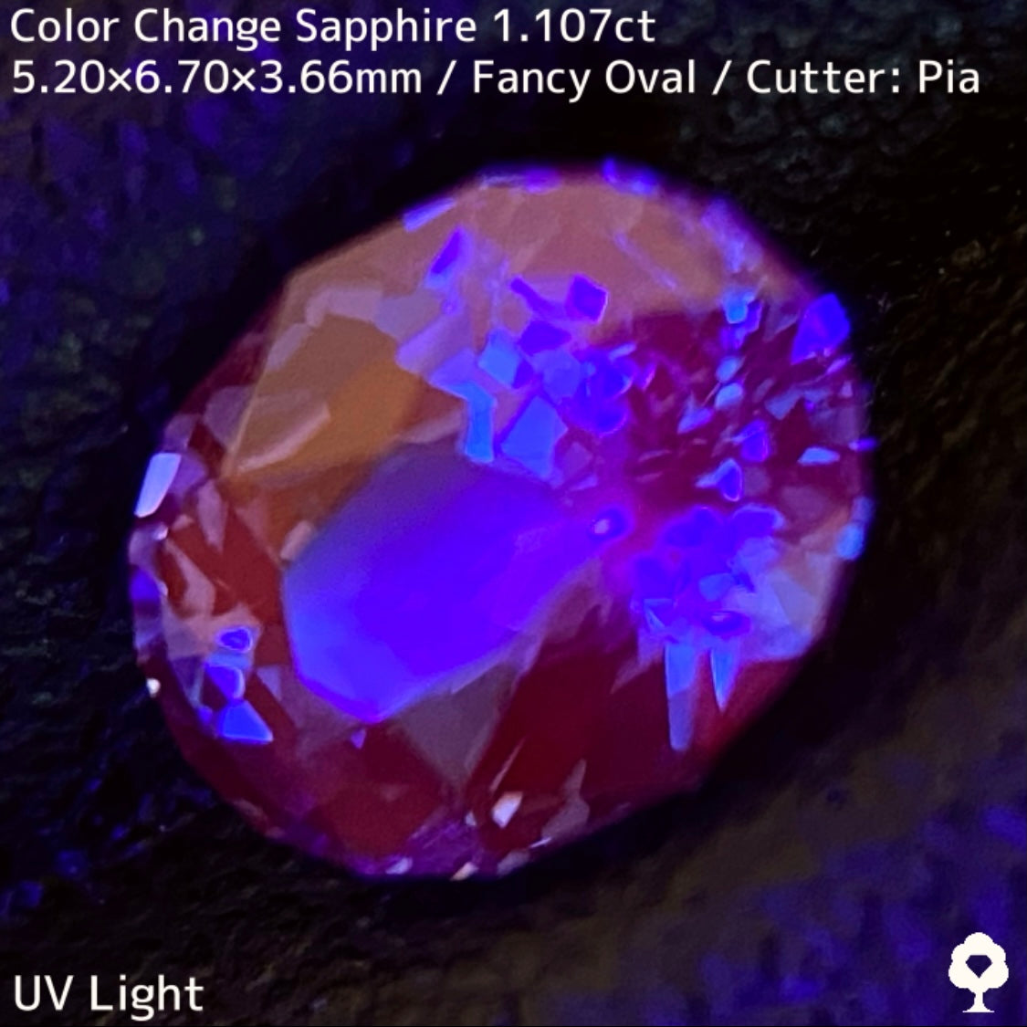 Tanzania color change sapphire 1.107ct ★ Beautiful color change multicolor crystal with a mix of blue, purple, and greenish blue