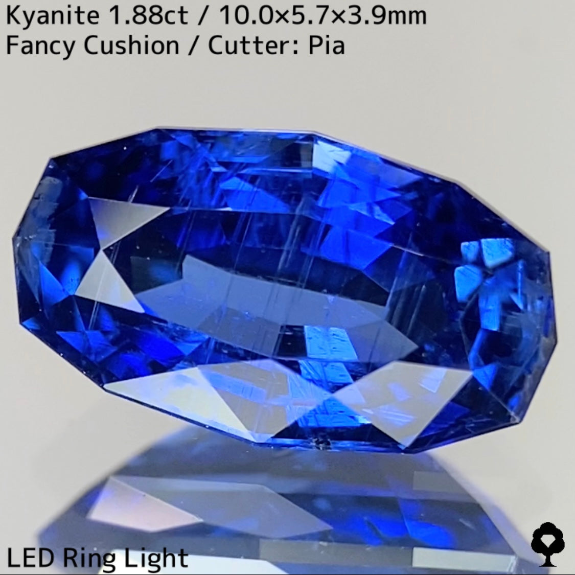 Kyanite 1.88ct / Nepal