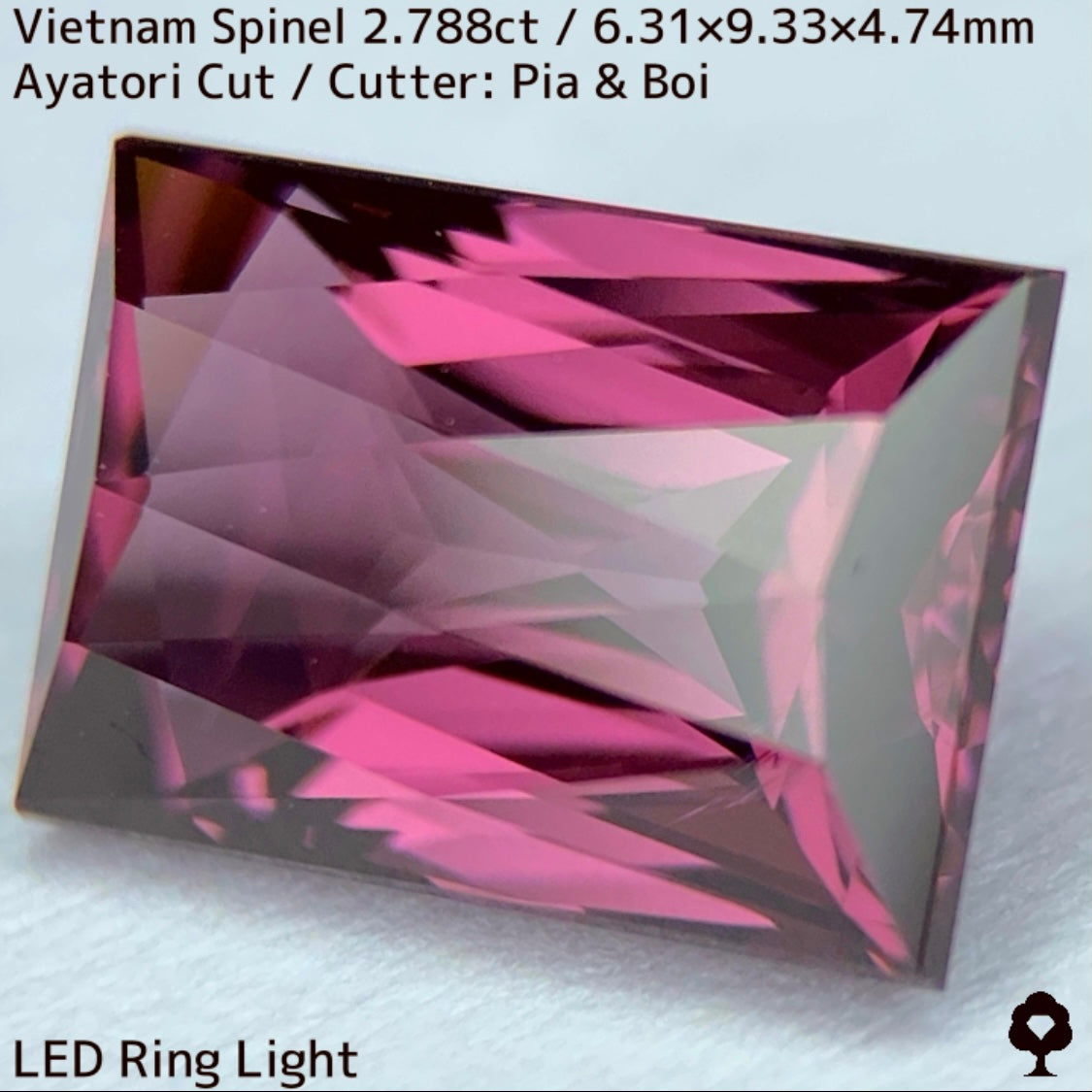 Spinel 2.788ct / Vietnam