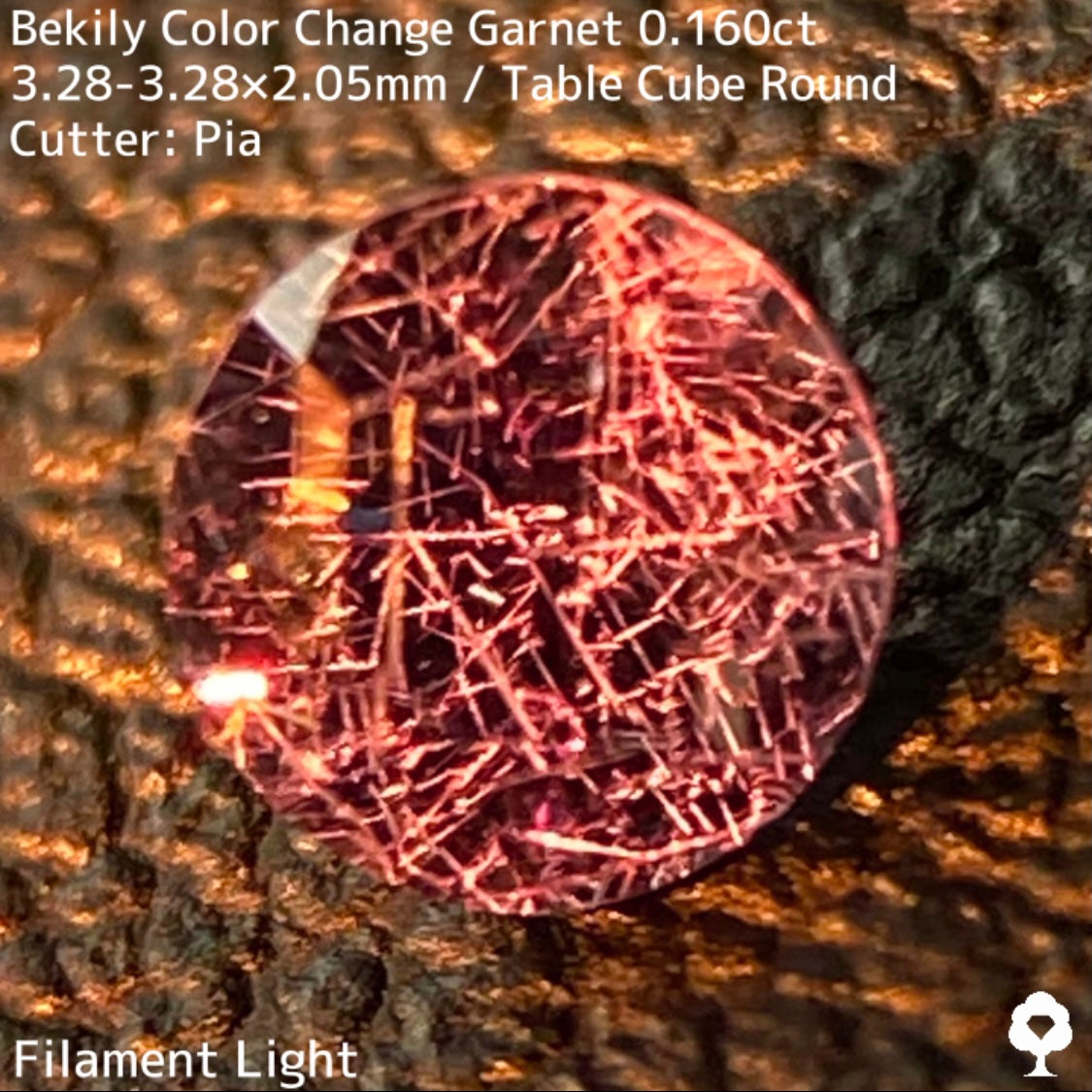 Color Change Garnet 0.160ct / Bekily(Madagascar)