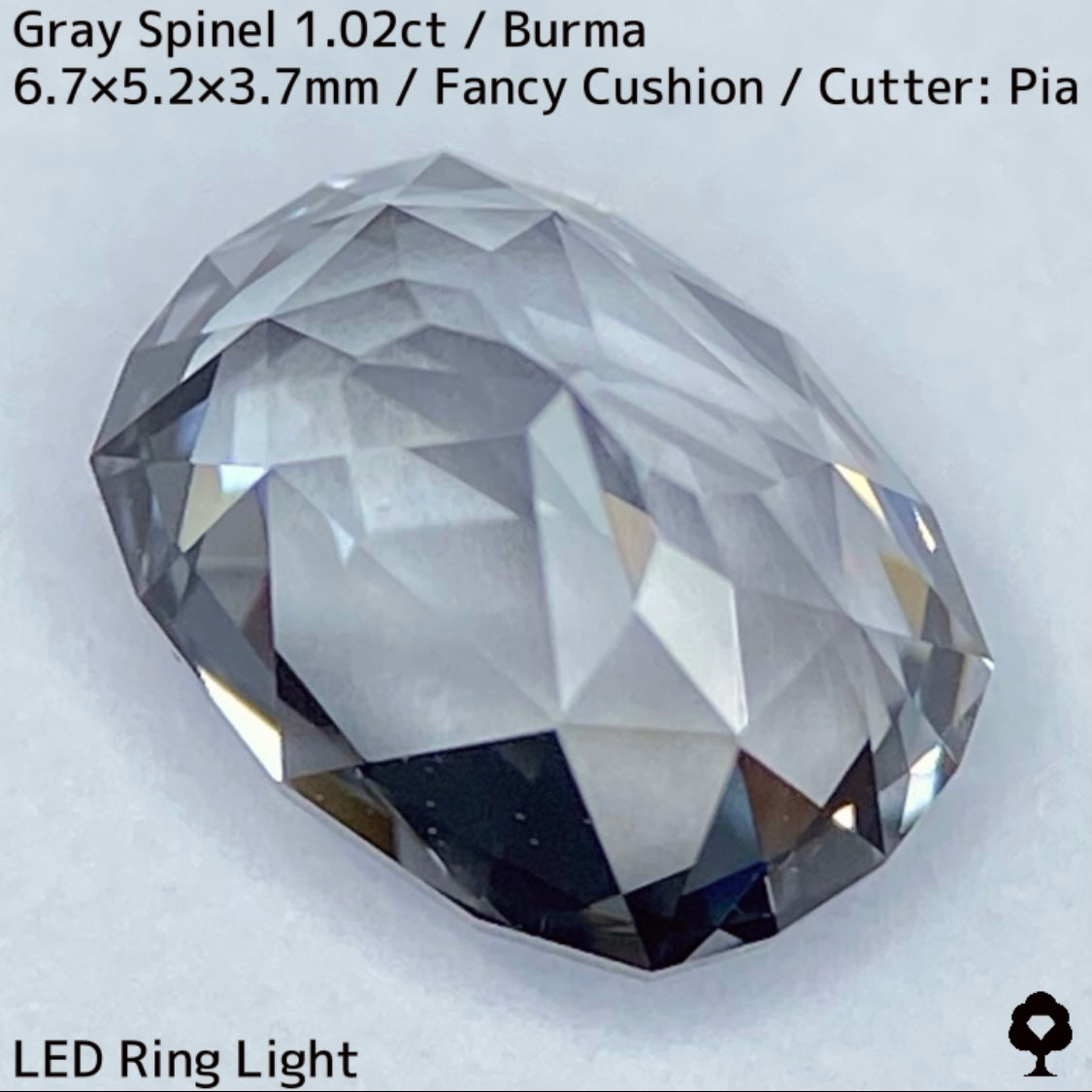Grey Spinel 1.024ct / Burma
