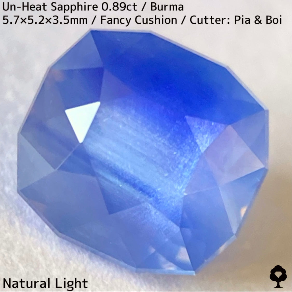 Un-Heat Sapphire 0.896ct / Burma