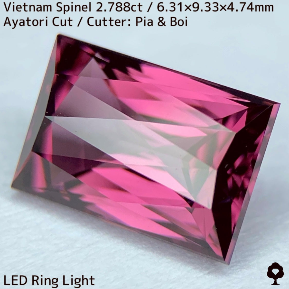 Spinel 2.788ct / Vietnam
