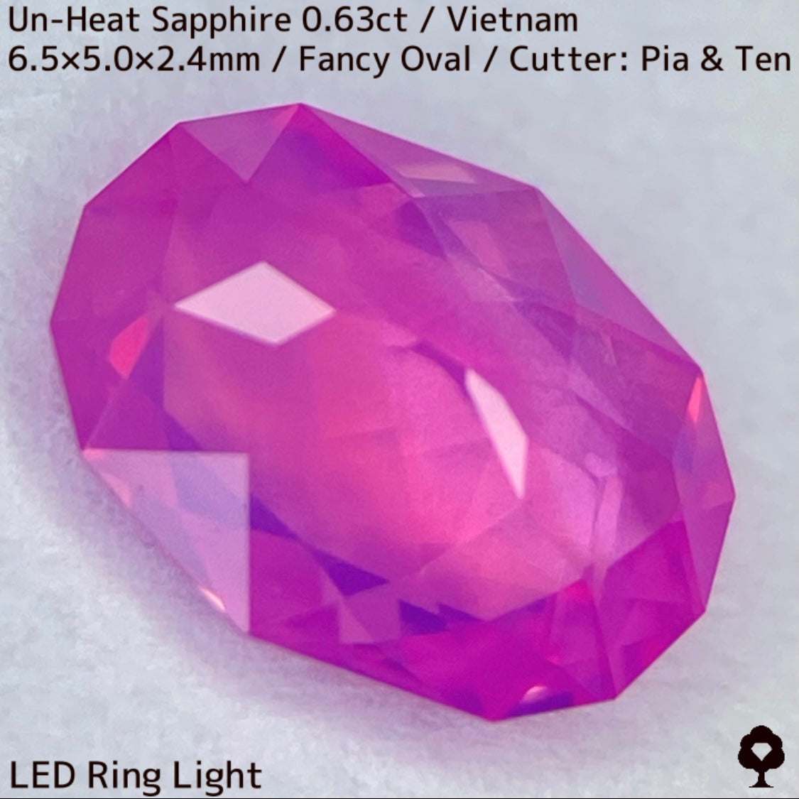Un-Heat Sapphire 0.63ct / Vietnam
