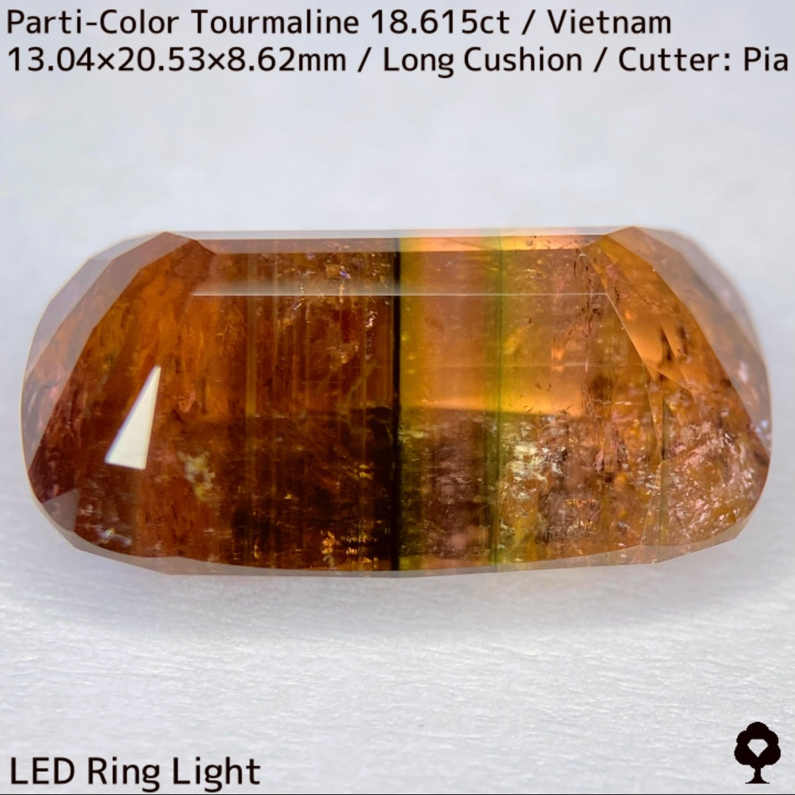 Parti-Color Tourmaline 18.615ct / Vietnam / Long Cushion
