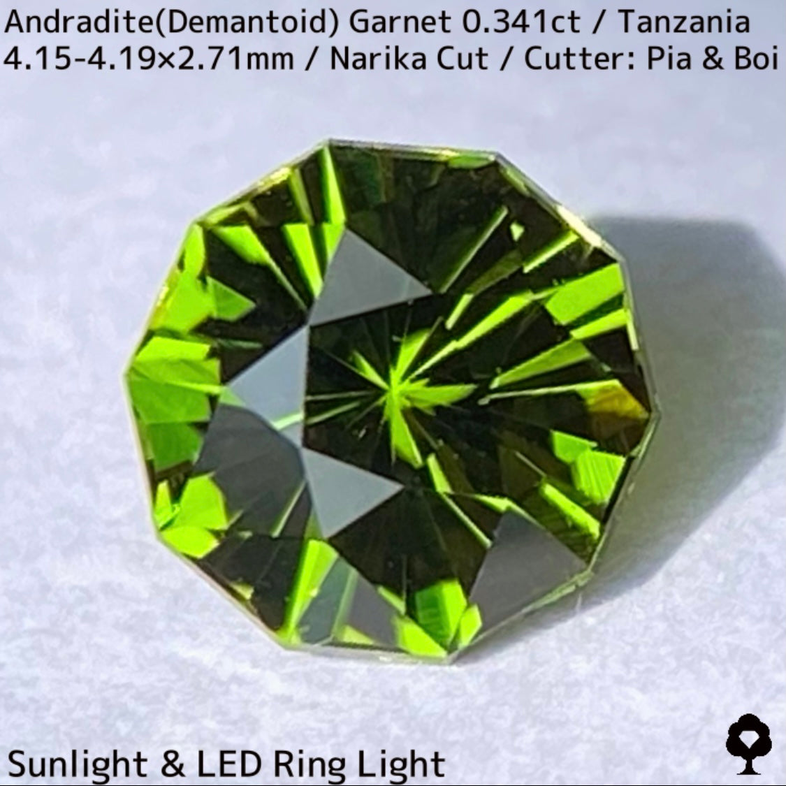Andoradaite(Demantoid)0.341ct / Tanzania / Narika