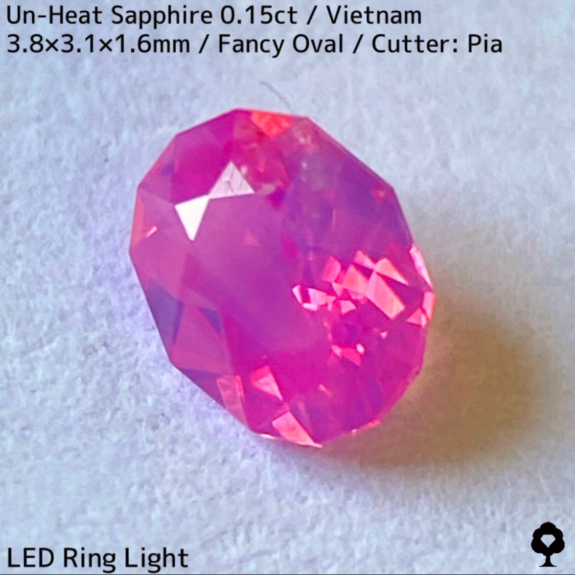 【ご当選者さま専用】ベトナム産非加熱サファイア0.15ct★小粒に詰まった美色ネオンシルキーピンクは必見