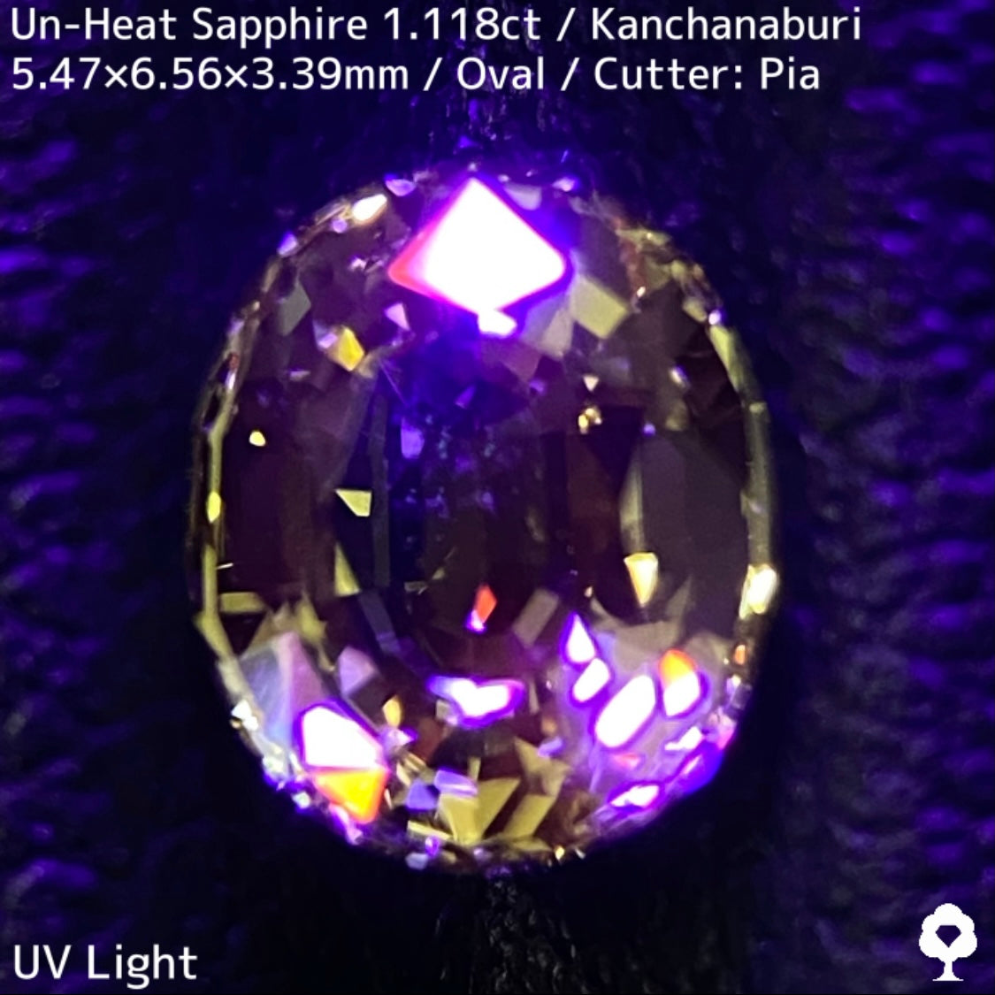 Kanchanaburi Sapphire 2Pc 2.231ct