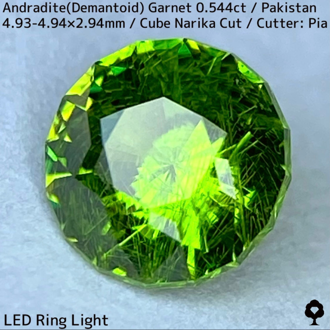 Andradite(Demantoid)0.544ct / Pakistan / Table cube Narika