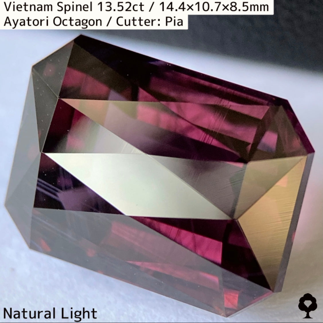 Spinel 13.52ct / Vietnam / Ayatori