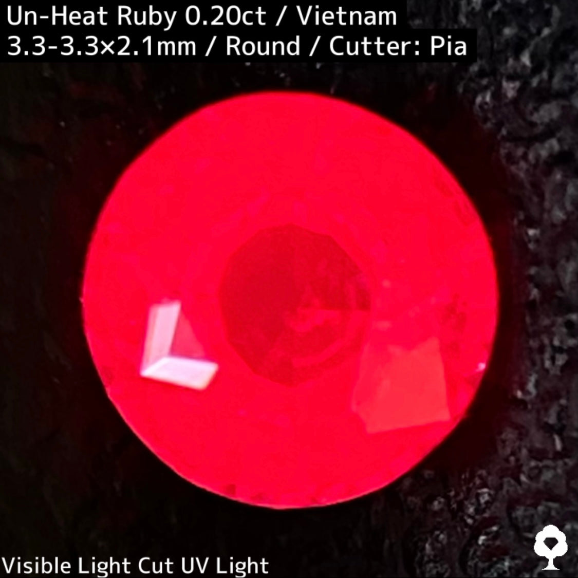 Un-Heat Ruby 0.20ct / Vietnam