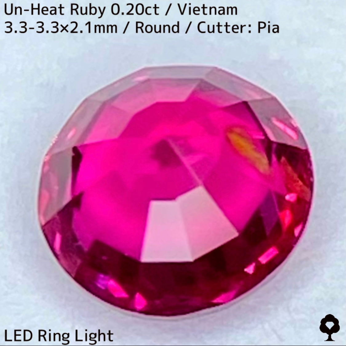 Un-Heat Ruby 0.20ct / Vietnam