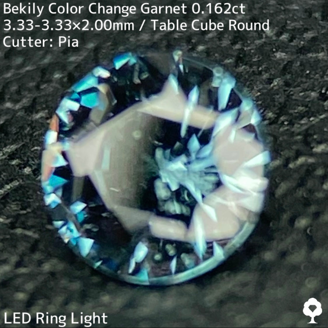 Color Change Garnet 0.162ct / Bekily(Madagascar)