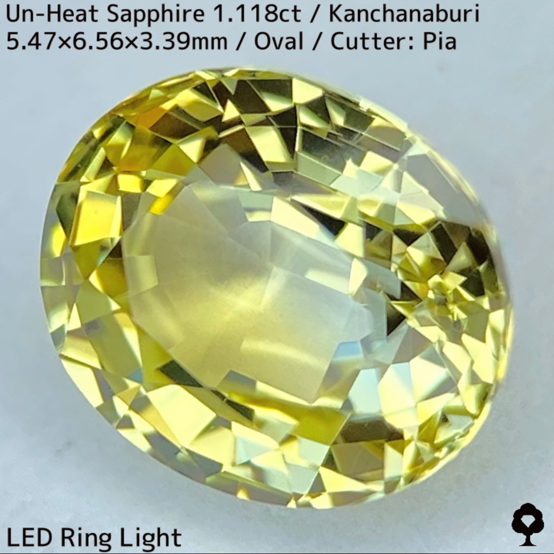 Kanchanaburi Sapphire 2Pc 2.231ct