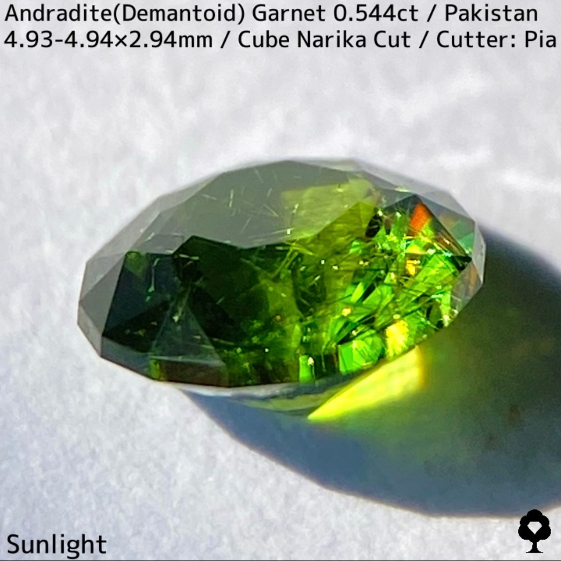 Andradite(Demantoid)0.544ct / Pakistan / Table cube Narika