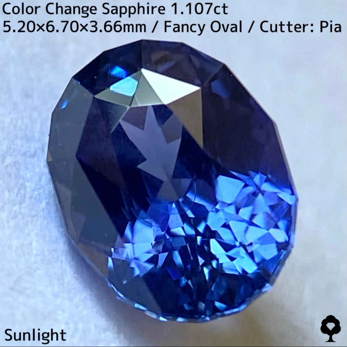 Tanzania color change sapphire 1.107ct ★ Beautiful color change multicolor crystal with a mix of blue, purple, and greenish blue