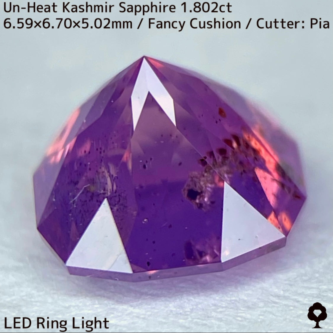 Unheated Kashmir sapphire from Pakistan 1.802ct ★ Enjoy this rare Kashmir masterpiece in a variety of light sources