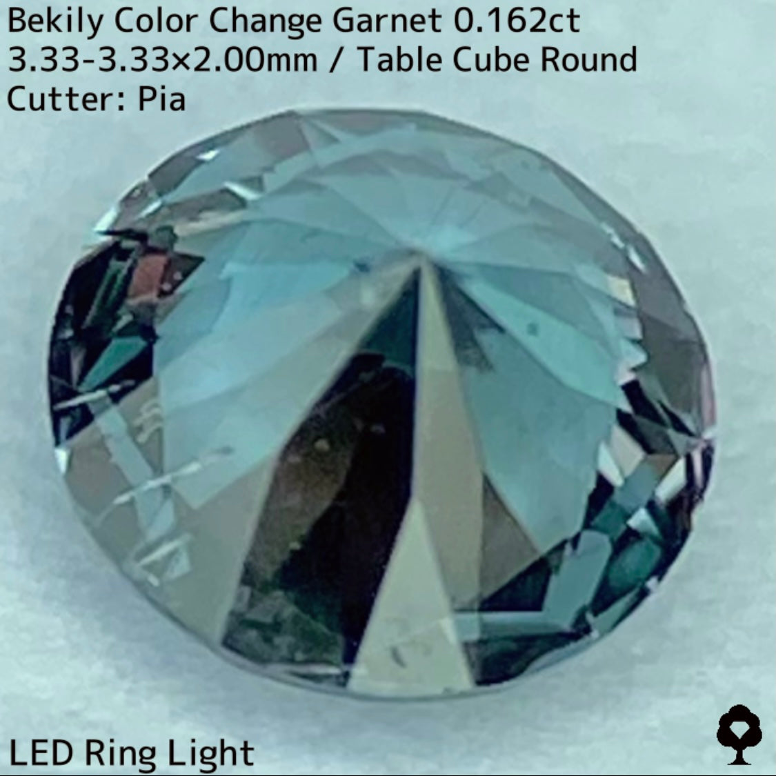 Color Change Garnet 0.162ct / Bekily(Madagascar)