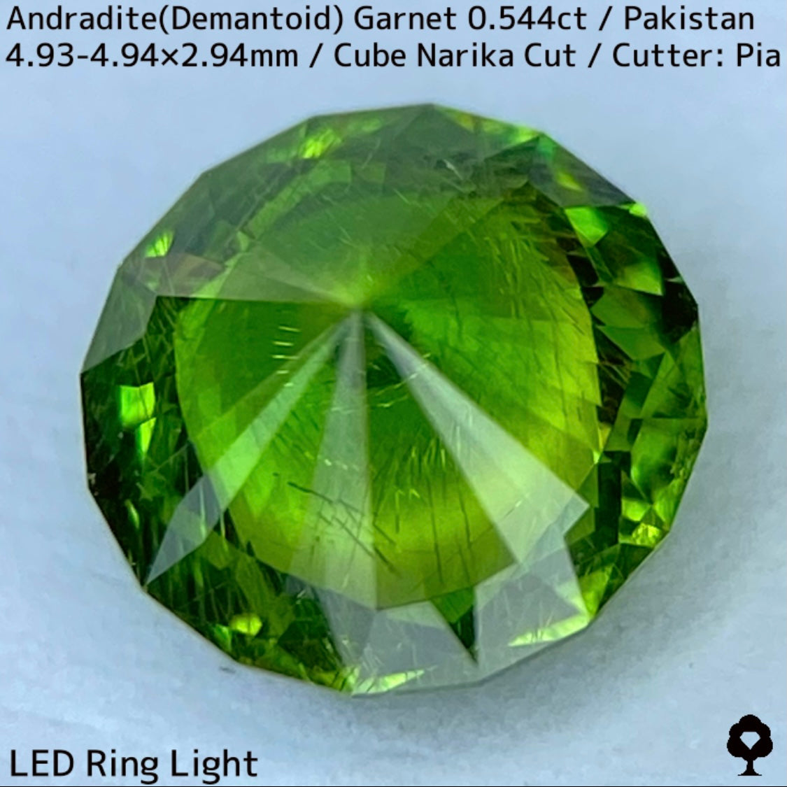 Andradite(Demantoid)0.544ct / Pakistan / Table cube Narika