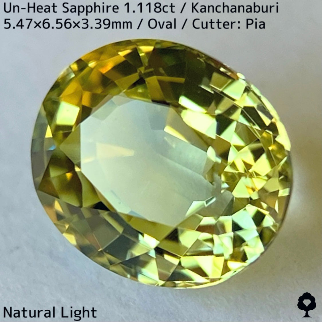 Kanchanaburi Sapphire 2Pc 2.231ct