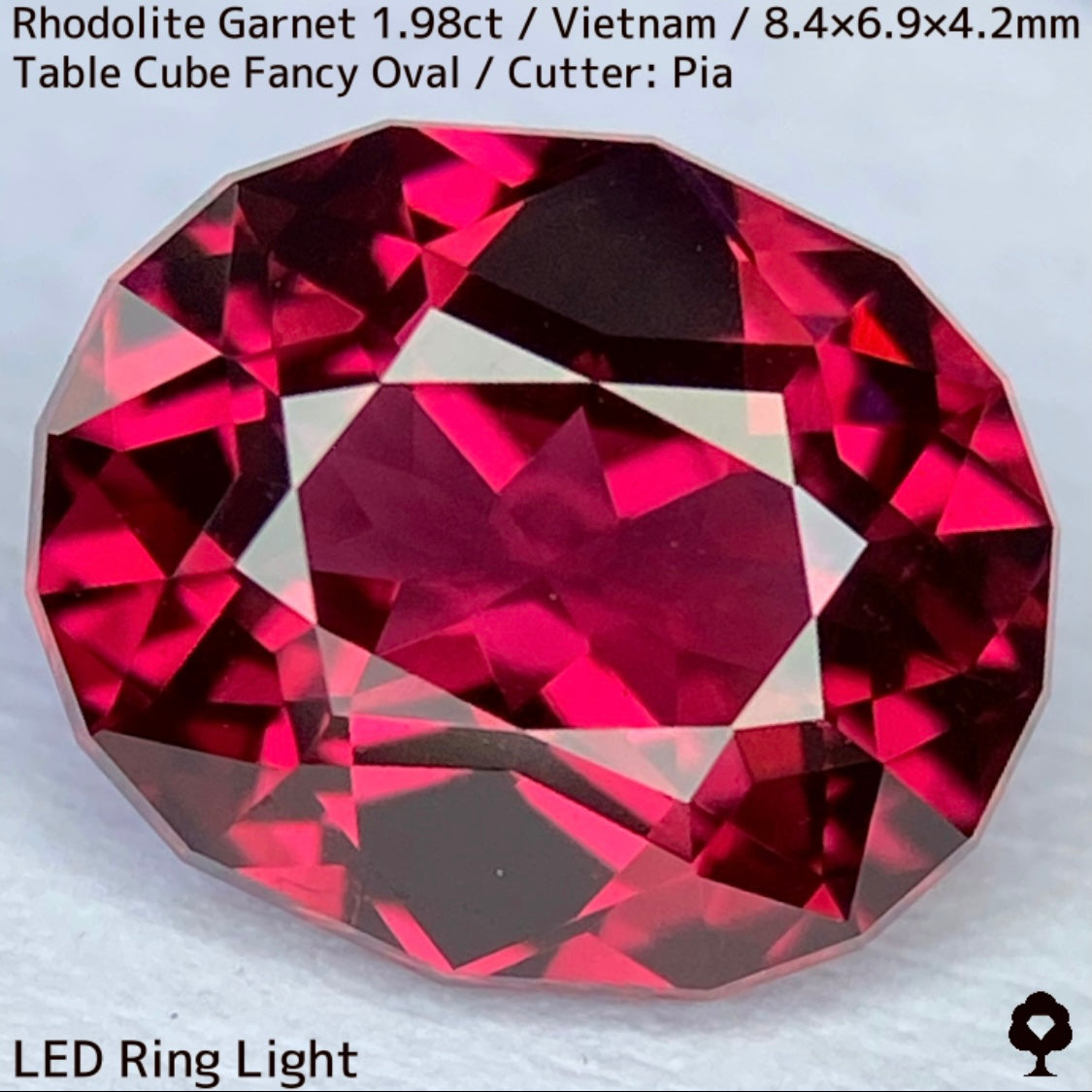 Rhodorite Garnet 1.990ct / Vietnam