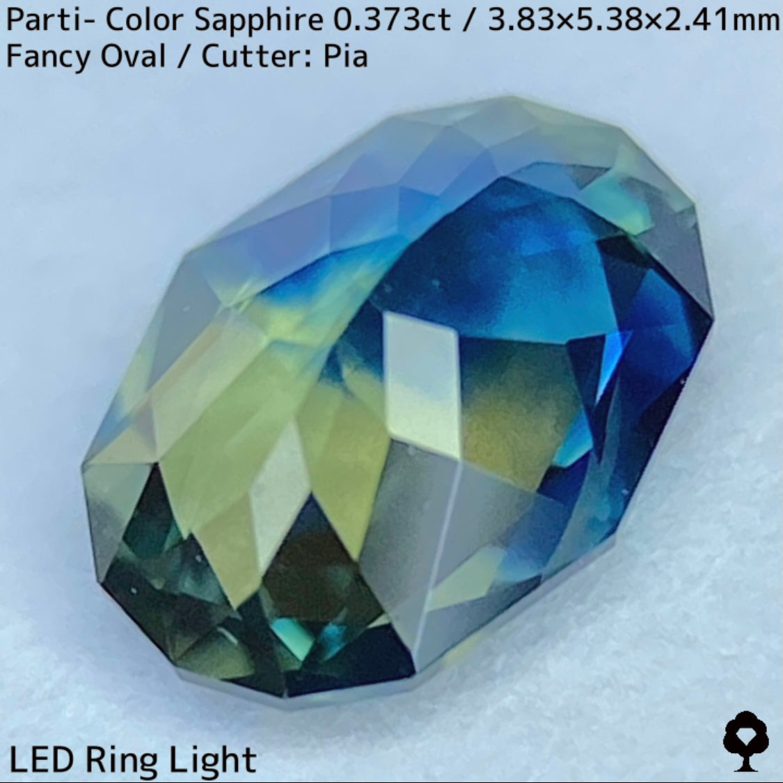 Parti-Color Sapphire 0.373ct / Thailand