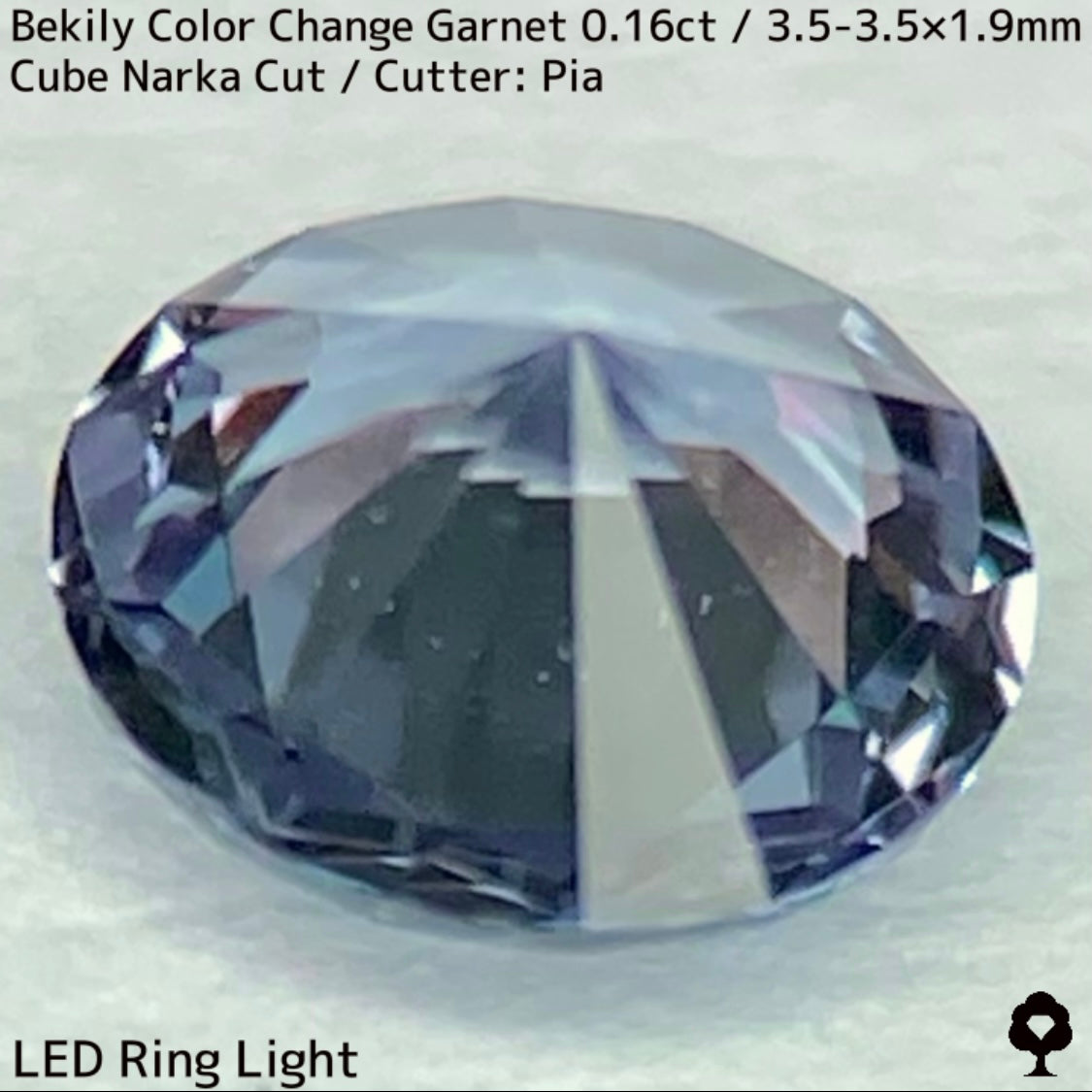Color Change Garnet 0.161ct / Bekily(Madagascar)