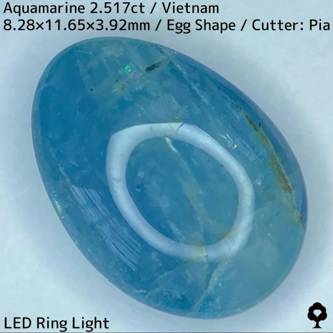 Aquamarine 2.517ct / Vietnam