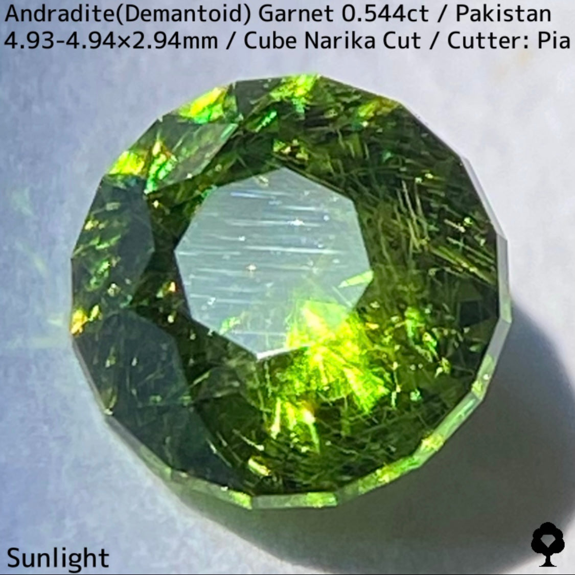 Andradite(Demantoid)0.544ct / Pakistan / Table cube Narika