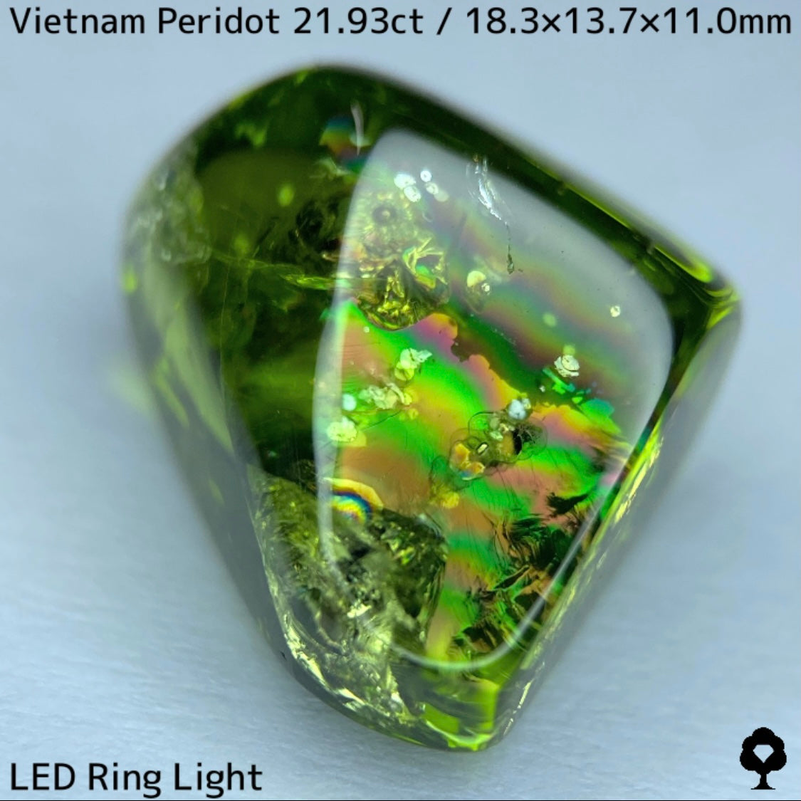 Peridot 21.93ct / Vietnam / Rough stone