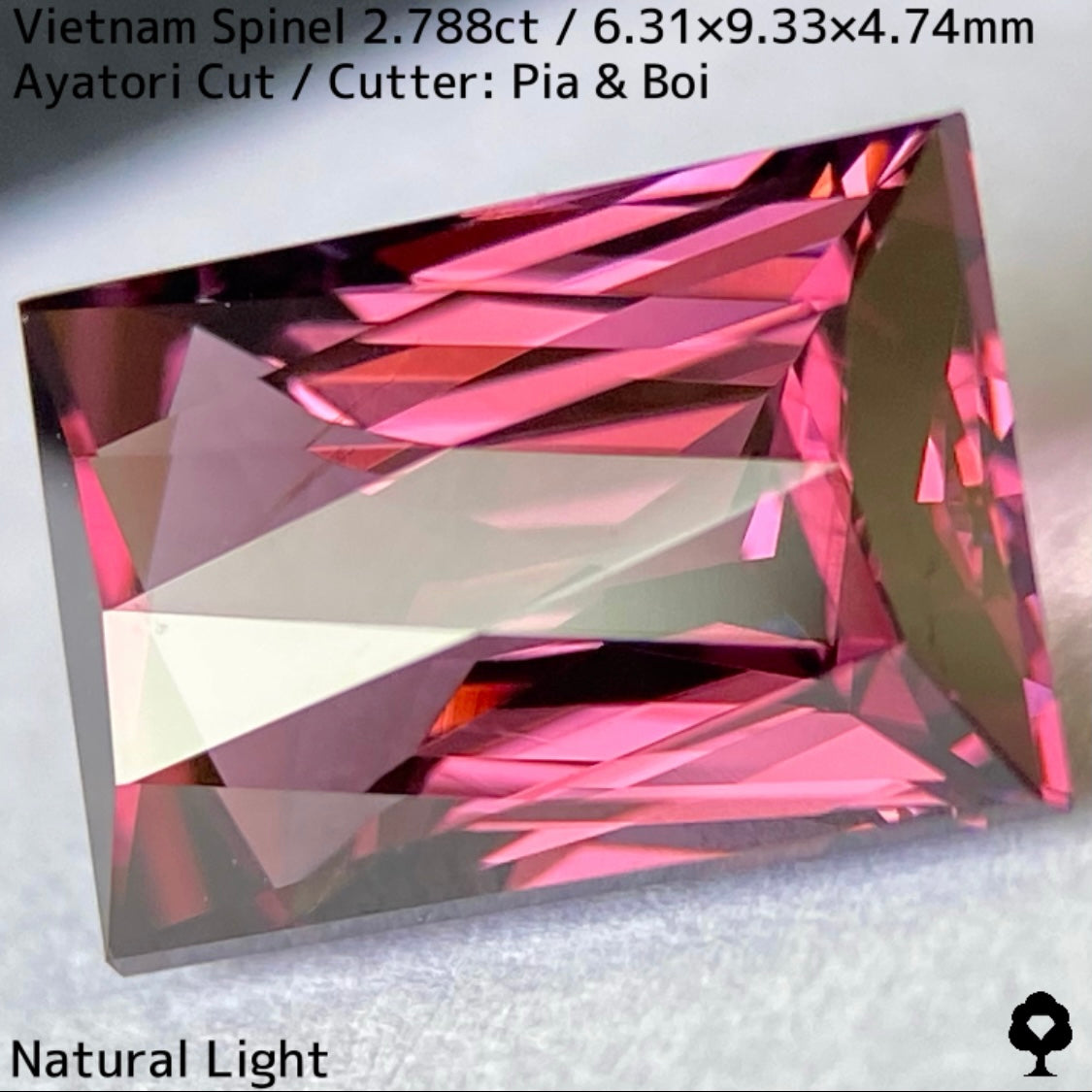 Spinel 2.788ct / Vietnam