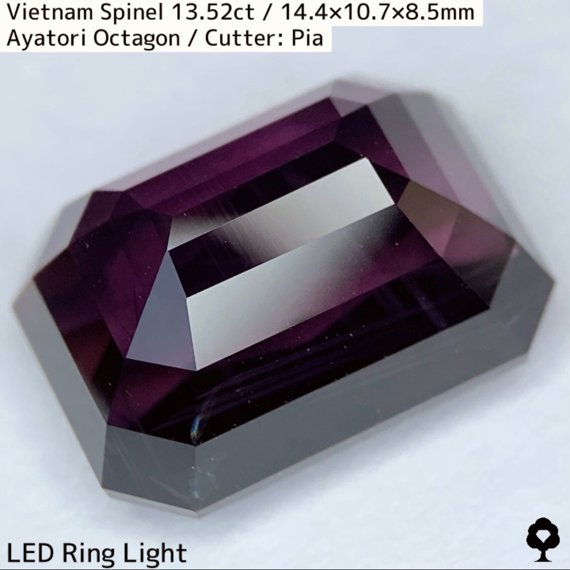 Spinel 13.52ct / Vietnam / Ayatori