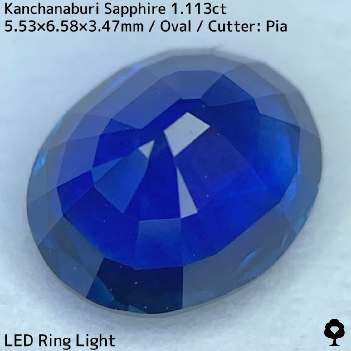 Kanchanaburi sapphire 1.113ct ★ A rare 1ct+ sapphire with a silky, slightly greenish blue color typical of Kanchanaburi