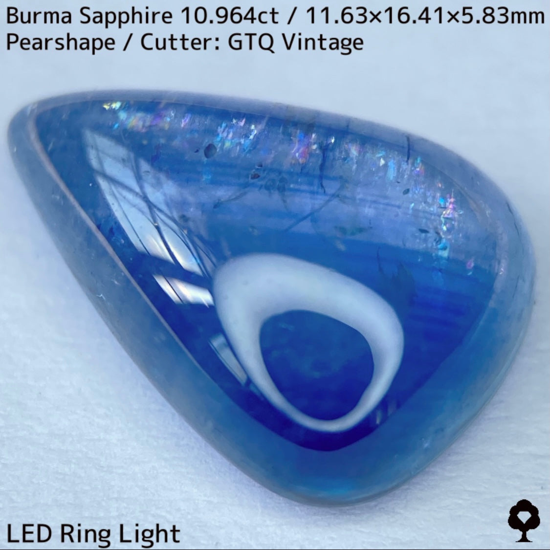 Sapphire 10.964ct / Burma / Cabochon