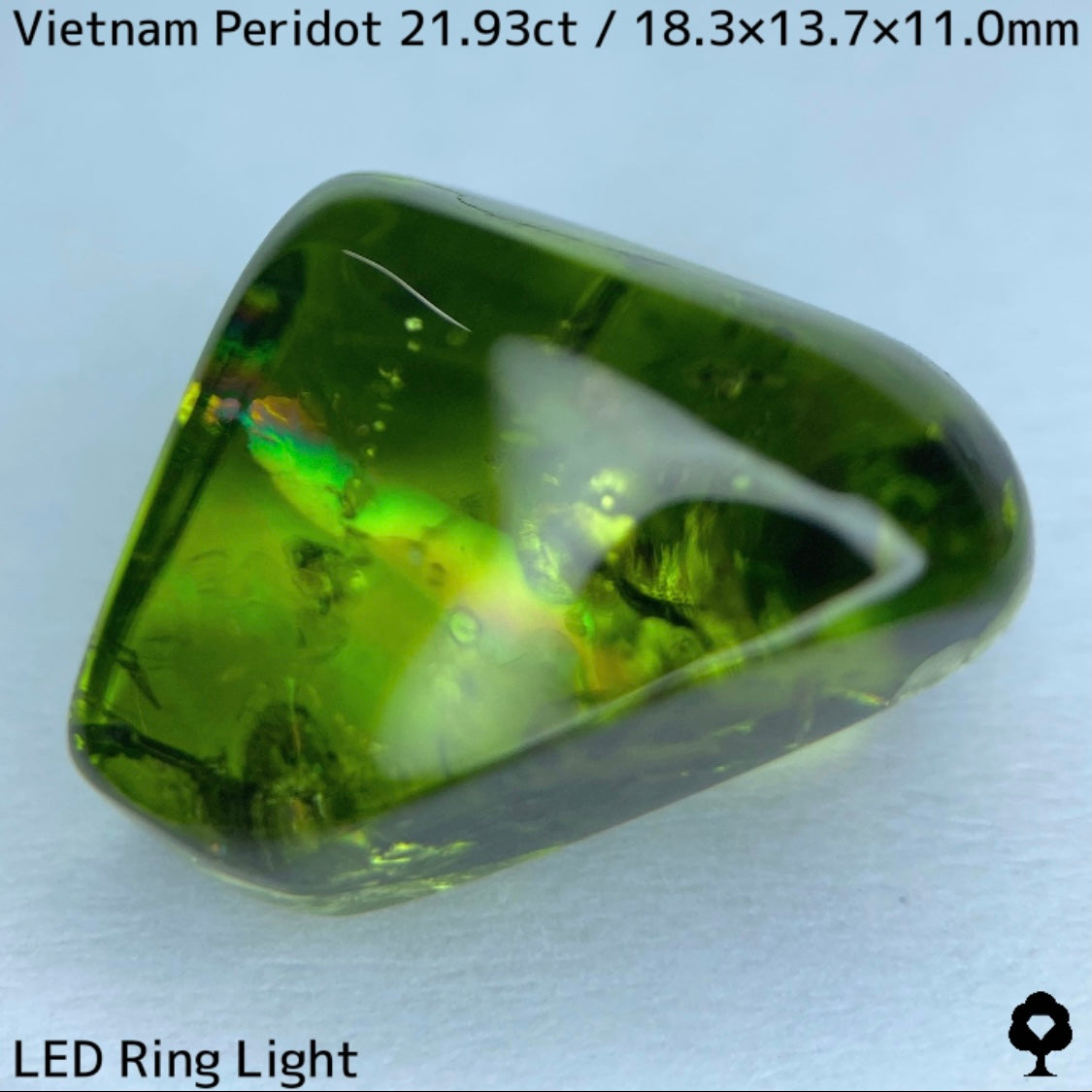 Peridot 21.93ct / Vietnam / Rough stone