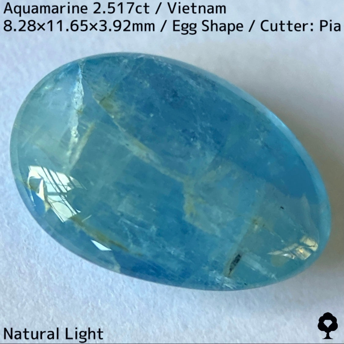 Aquamarine 2.517ct / Vietnam