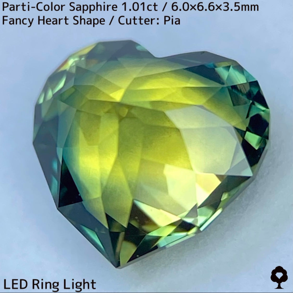 1.01ct Thai parti-colored sapphire ★ A rare fancy heart shape with a party feel that is typical of Bangkacha