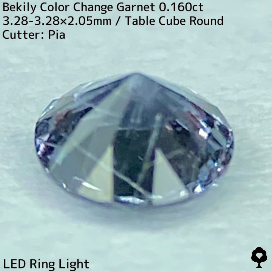Color Change Garnet 0.160ct / Bekily(Madagascar)
