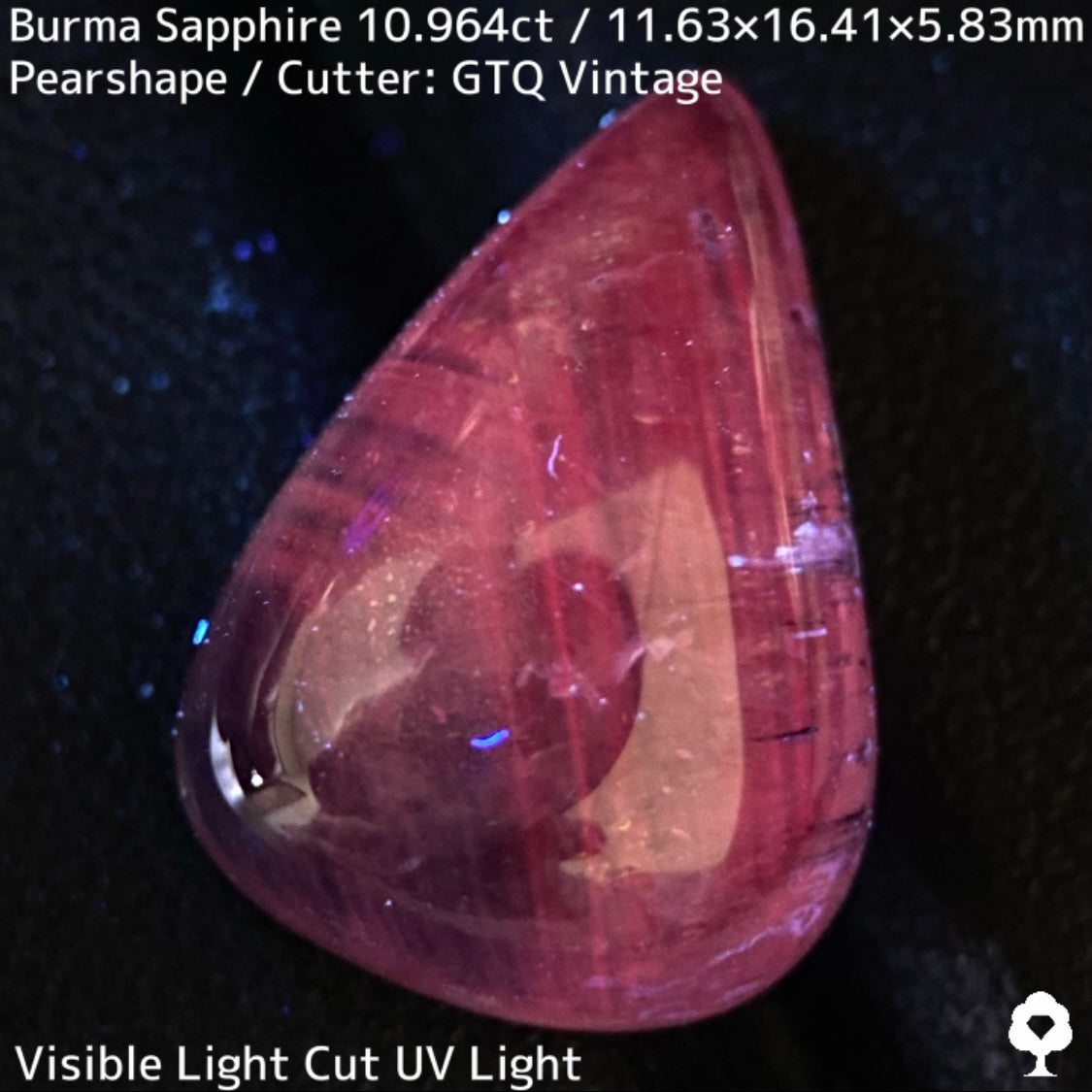 Sapphire 10.964ct / Burma / Cabochon